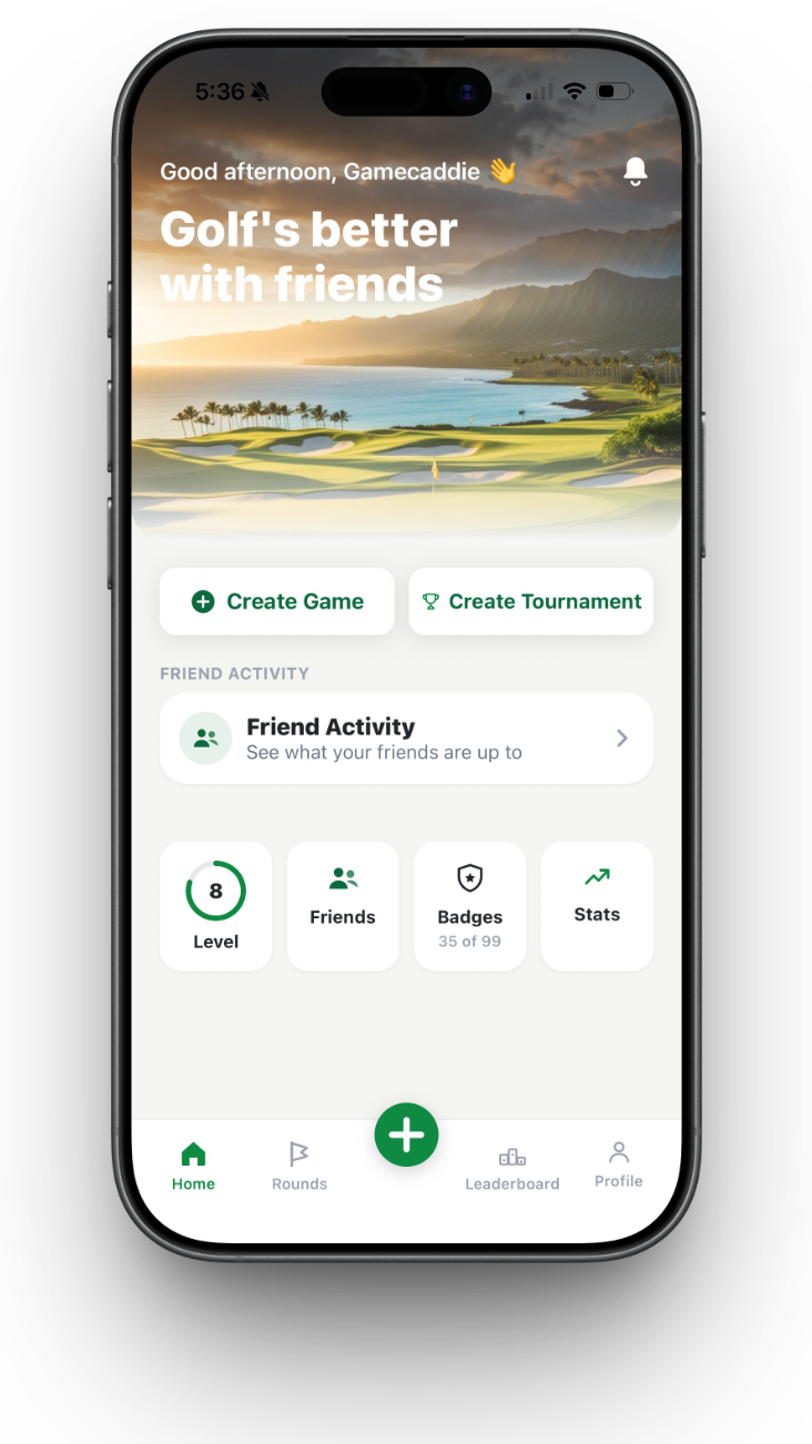 Game Caddie home screen with level, friends, badges and stats